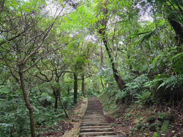 姜子寮山（小百岳）2620471