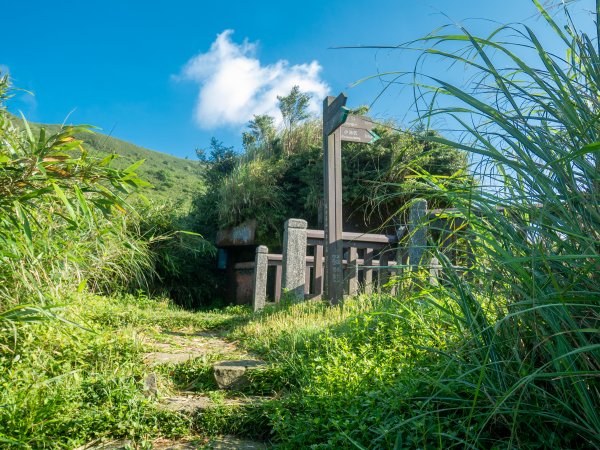 【行腳陽明山】初夏裡蒼翠欲滴的環七星山與百拉卡公路人車分道2188695