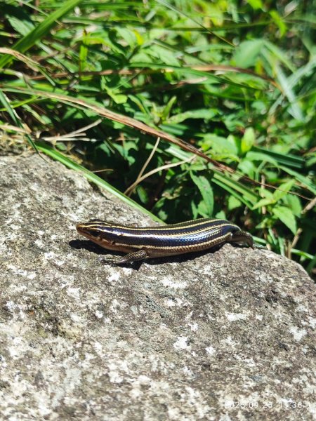 七星山二進2894973