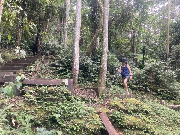 五指山橫向步道2569518