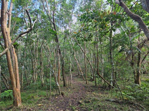 月眉山（小百岳）3000560