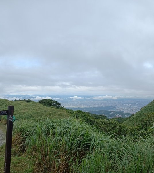 2019-07-02 七星山2792230