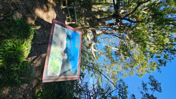 【暑假停課不停走】解鎖第49座小百岳#093都蘭山2822527