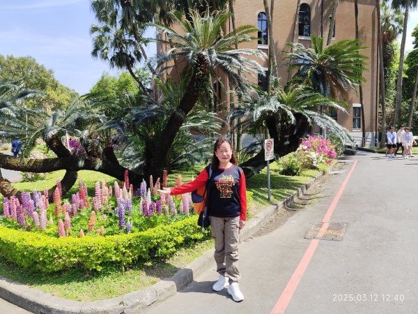 內湖運動中心→勞工保險局→南門市場→台灣電力公司→國立臺灣大學2734272