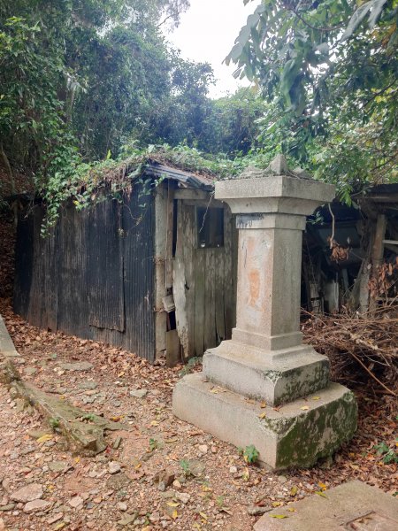 玉里神社步道1774346