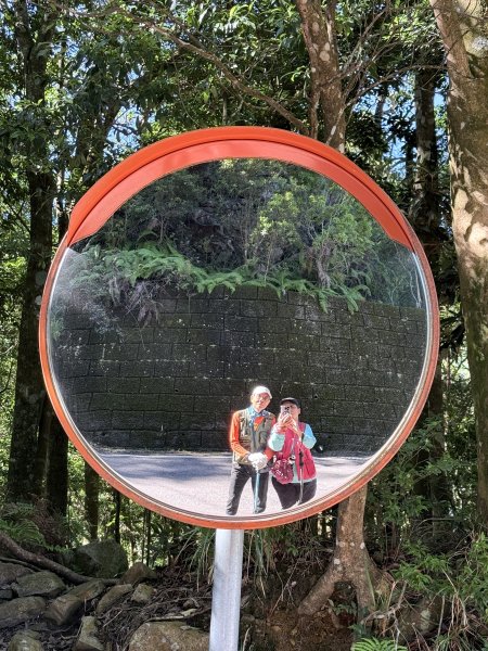 橫嶺山走走避暑趣 2025.6.112815426