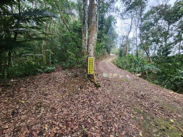 20260208五分寮頂山內大坪山石硬山O型3005239