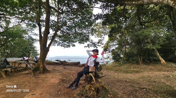 20260127三通嶺山.三義山(大桁茂山).慈濟山.大坪山大O走2989968