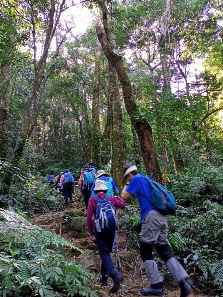 《浪漫唯美的北得拉曼步道、內鳥嘴山》1154201