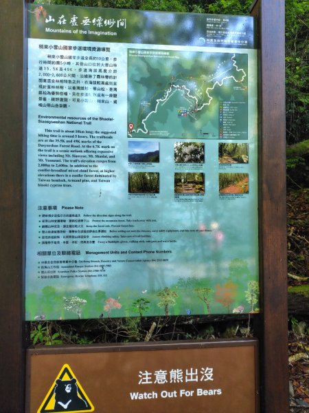 稍來小雪山國家步道、船型山、鞍馬山、鞍馬山東北峰、天池、雪山神木2799812