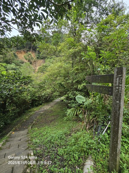 2025-11-08微笑山線：【五分山系】菁桐煤礦段2932707