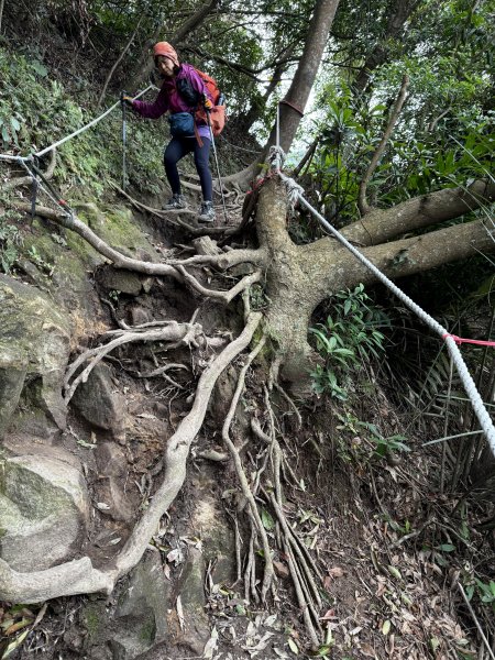 淡水搭渡輪上觀音山+占山O繞 搭公車接渡輪回淡水-202503182770646