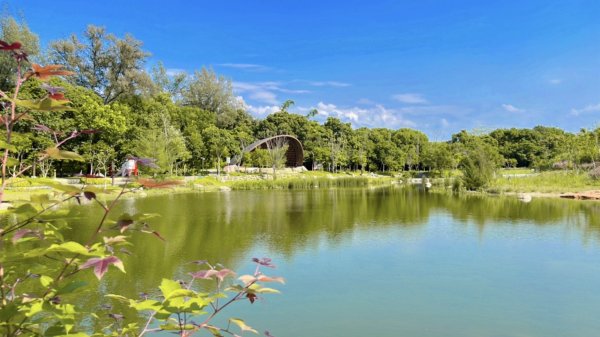 大湳森林公園2817295