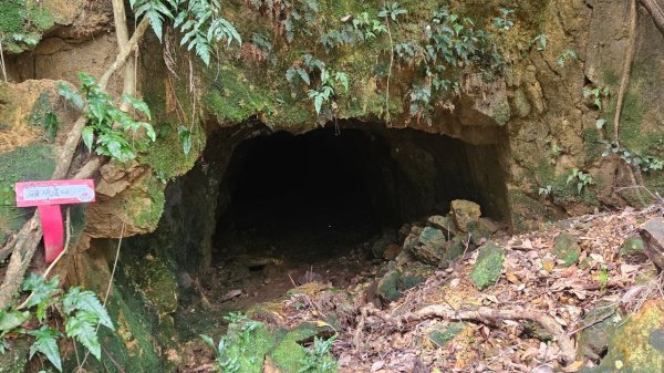 20250302玉田古道-瑪鋉三山出武聖街2725253