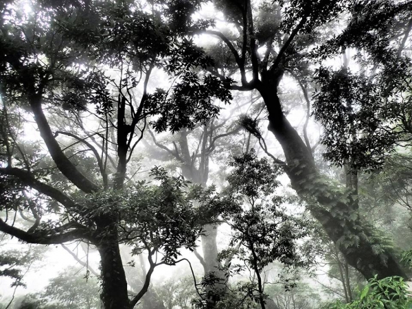 山岳之美-2014／7／19.20南嶽北大武山5420