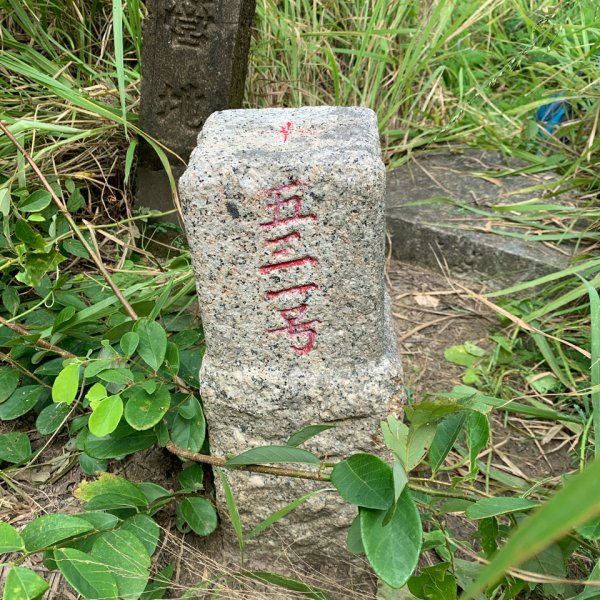 20250830台南牛長山2877110