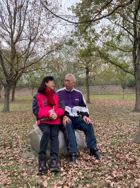 四訪苗栗的花果山-小百岳#037馬那邦山、雪霸國家公園管理處【小百岳集起來、苗栗-臺灣百大必訪步道】2394256