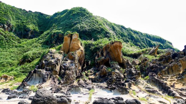 和平島(含阿拉寶灣)2821360