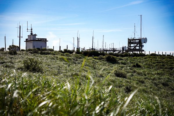 大屯山連峰步道｜陽明山小百岳2856254