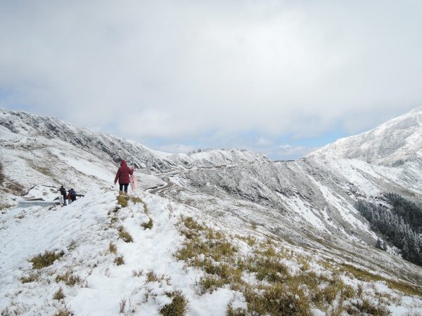 合歡山也有藏王樹冰的雪景510339