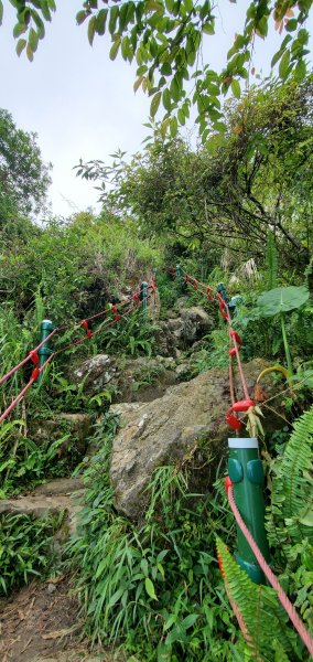 2022-04-30雲嘉大尖山、二尖山步道1698003