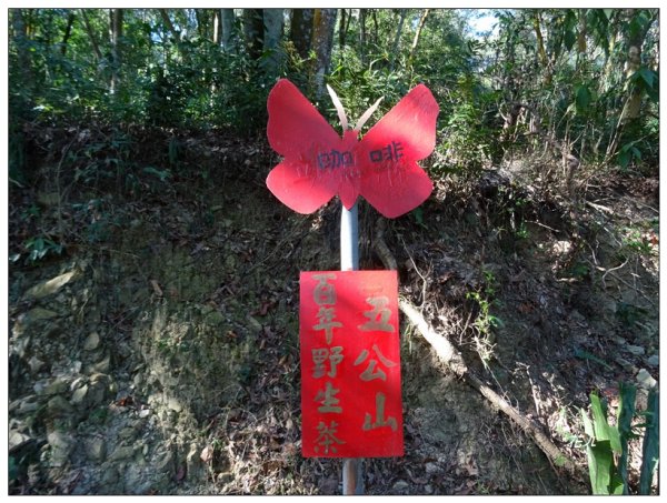 網子山、鳴海山(小百岳)連走2405751