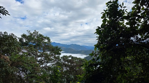 馬那邦山之雲海／雲瀑／楓紅／太陽琉璃光2668251