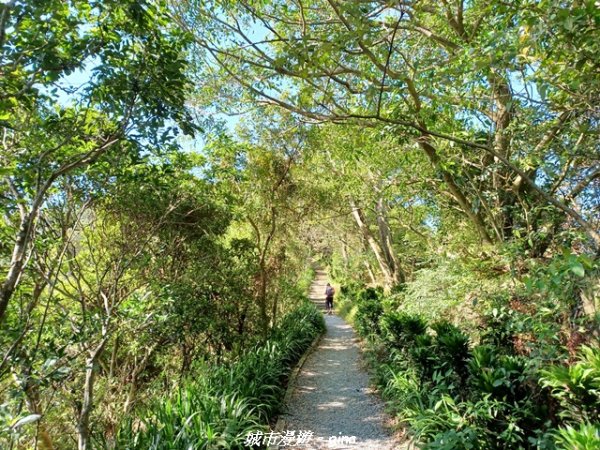 【新北中和】小百岳~烘爐地登山步道 (南勢角山)2950587