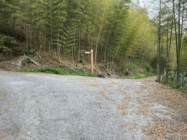 2023_0429_挑筍古道2138252