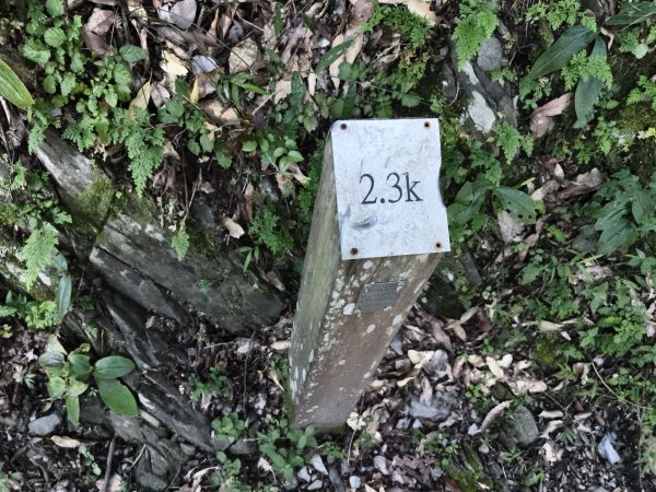 [玉山尋寶任務-07/12] 2025_0824 八通關雲龍瀑布步道2870534