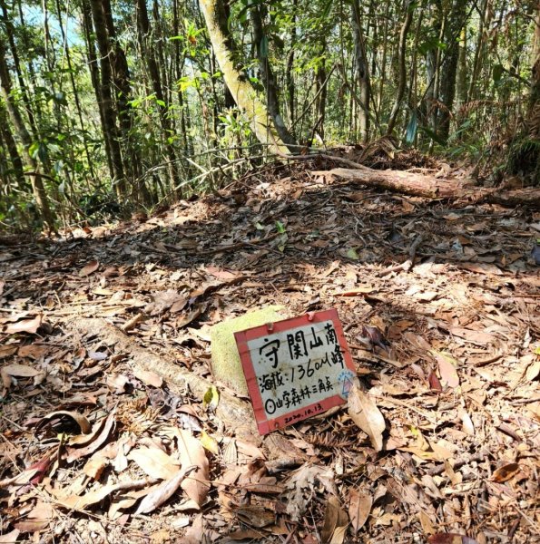【中級山】邑治第一山，守城大山，連走守關山，守關山南峰2740900