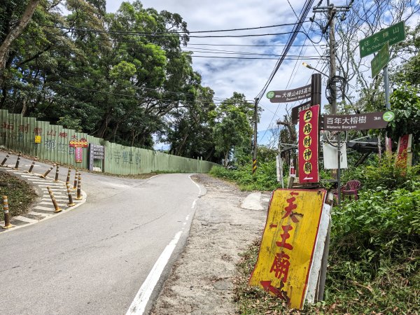 [微笑山線_第一段] 2026_0725 大棟山系_大同山3101726