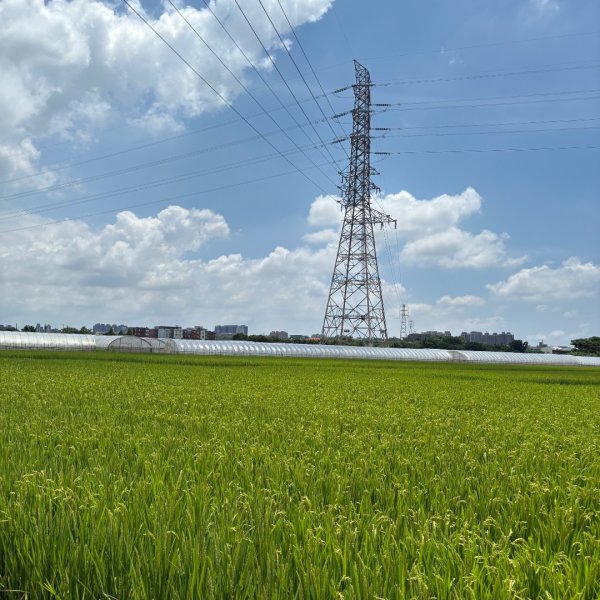 250621 霄裡好風光一日遊2883055