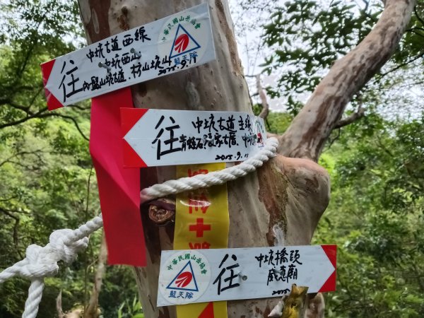 雙溪區中坑古道西線+中坑西山+內盤山土地公廟+中坑古道P字走2895321
