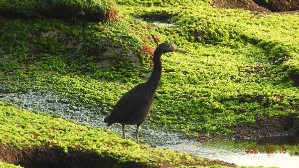 1再度山海GO龜島曉日>忘憂谷>茶壺半屏山 2北海岸1308774