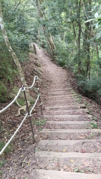 20251004 馬那邦山 - 珠湖 登山口2904839