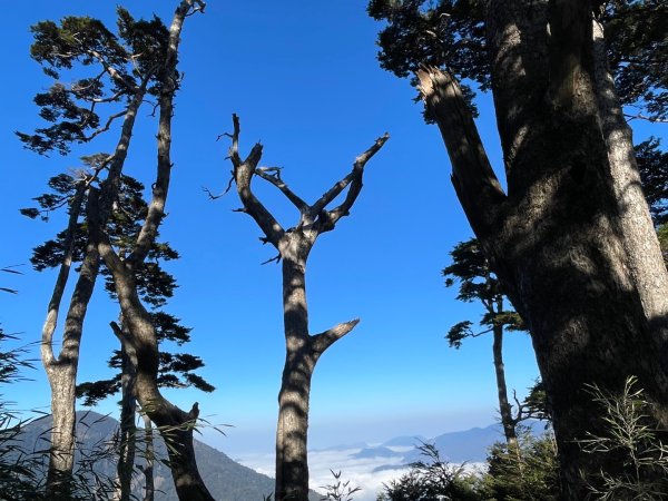 一日南橫二星人品爆發2995774