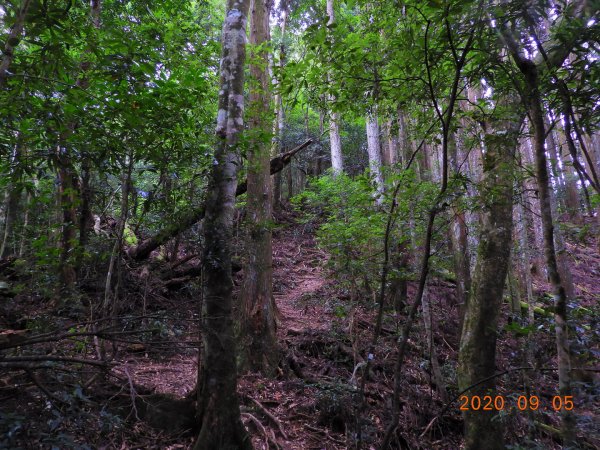 新竹 五峰 油羅山1088973