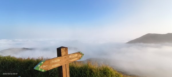 #大屯山 #雲海 3/223019596