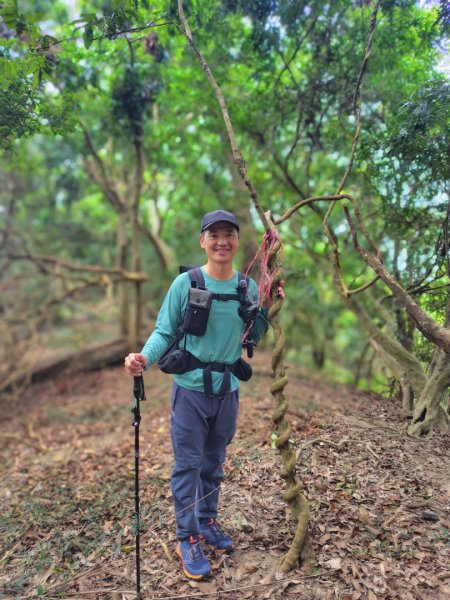 大棟山系南段 水利古道西口 上 竹高崙山 連走 鳥子嶺 坑仔內山 大崖山 下 龍目井農場2953171