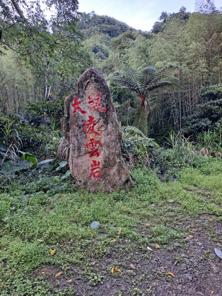 水水古道大湖尖山O型縱走(2022.06.03)1857996