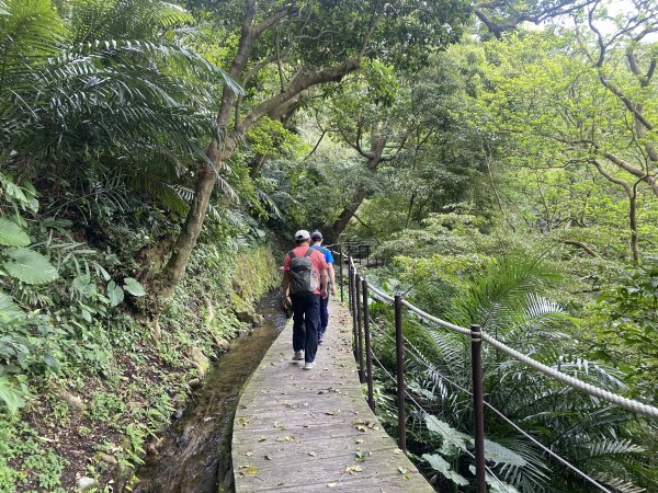 如墨暈染的春日邂逅｜中山樓墨染櫻 × 北投步道探花記2853879