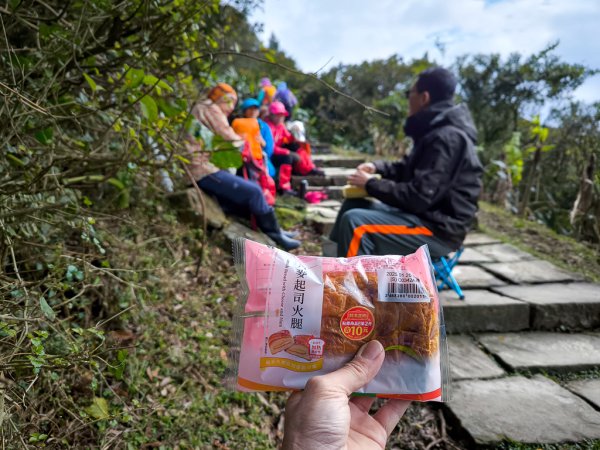 2025-01-19 大里天公廟~埡口2695388