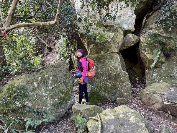 金面山-202503192770604