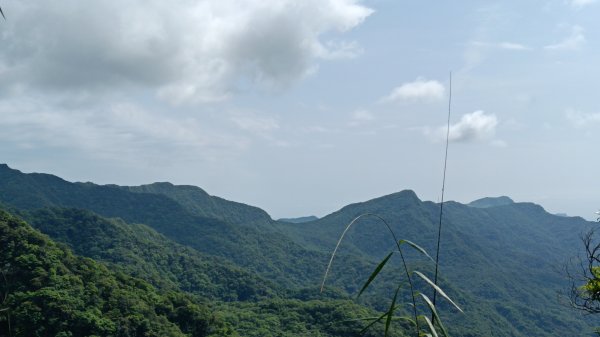 雙溪區三分二山-烏山古道東段-烏山1號O型3047451