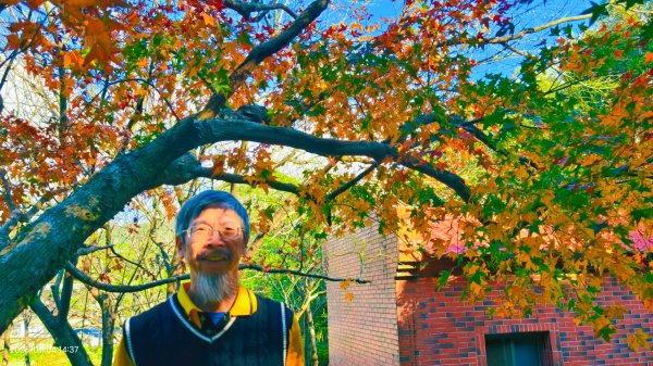 #花卉試驗中心 #永公路500巷 #平菁街42巷 #原住民公園 #士林官邸 1/42976630