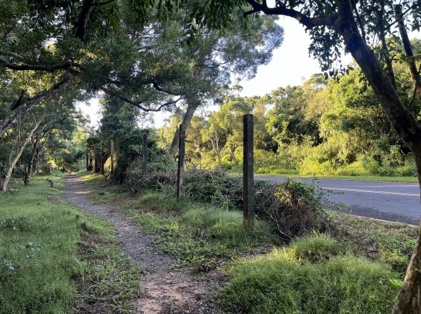 [屏步青雲 尋寶任務-07/10] 2024_1006 社頂自然公園步道2616784