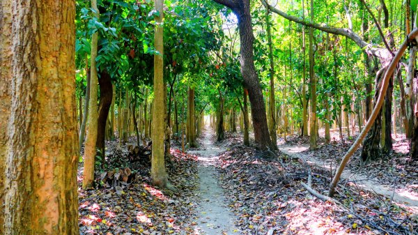 台南知事官邸等3002003