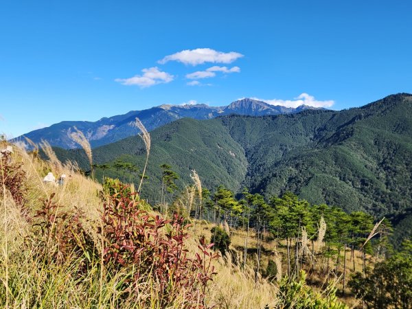 【中級山縱走】羅馬縱走，走進神木的夢幻童話森林世界2943253