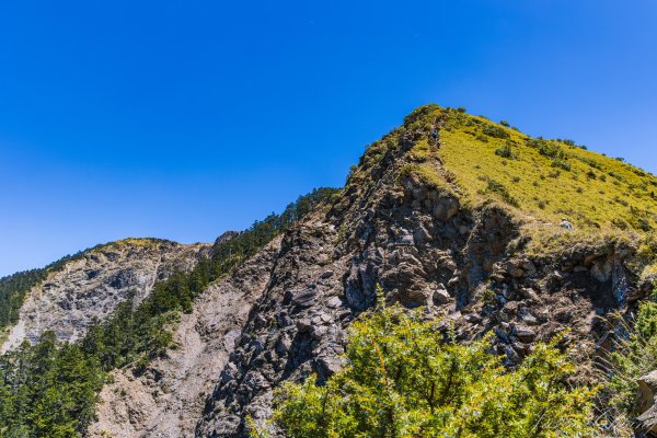 [百岳]合歡北、西峰3039426